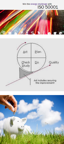 iso 50001
sistemi di gestione dellenergia